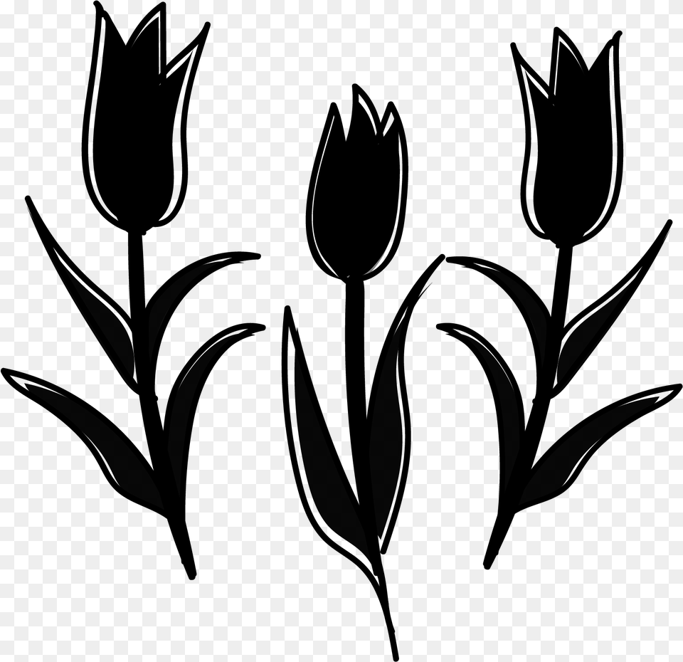 Plant Yellow Stem Tulip Tsubomi White Clipart Sprenger39s Tulip, Gray Free Transparent Png
