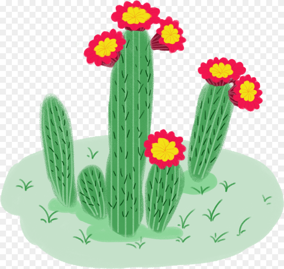 Planta Fresco Caricatura Mo E Psd Hedgehog Cactus, Plant Png