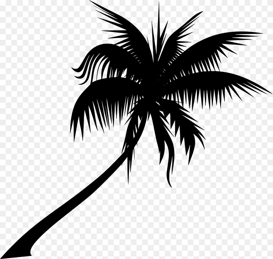 Planta Palmera Silueta Palm Trees Vector Transparent, Gray Free Png