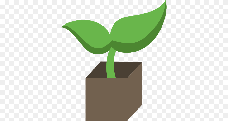 Plantables Your Shortcut To Green Thumbed Glory, Plant, Leaf, Potted Plant, Sprout Free Transparent Png
