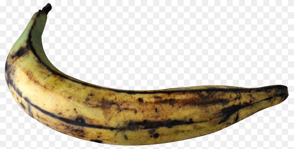 Plantain Banana Food, Fruit, Plant, Produce Png Image
