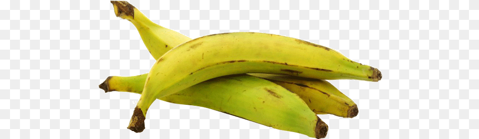 Plantain Canada, Banana, Food, Fruit, Plant Png Image