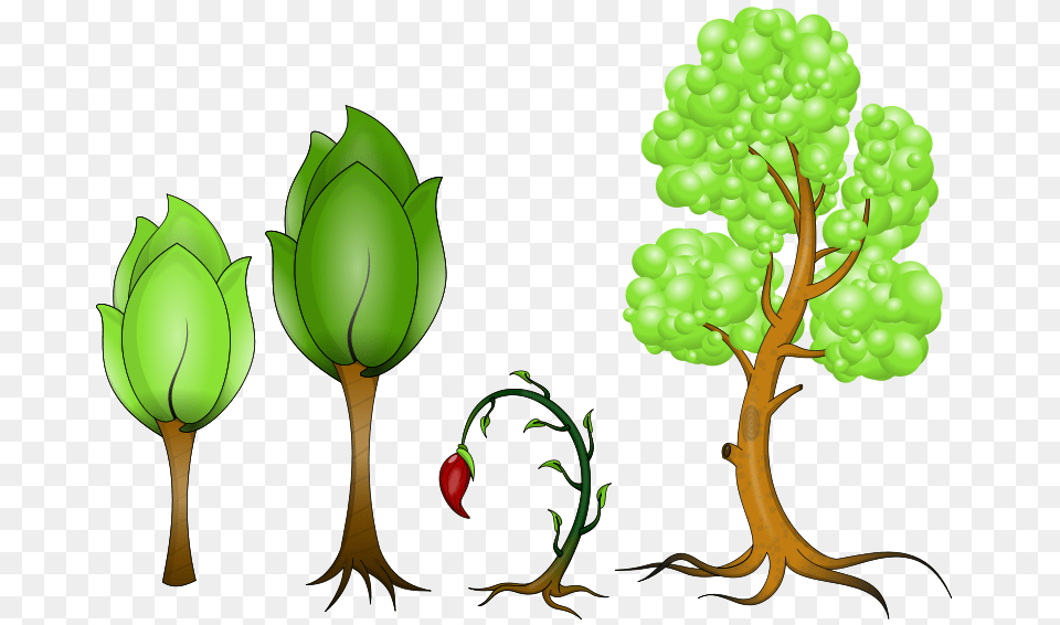 Plantas, Green, Leaf, Plant, Tree Free Png