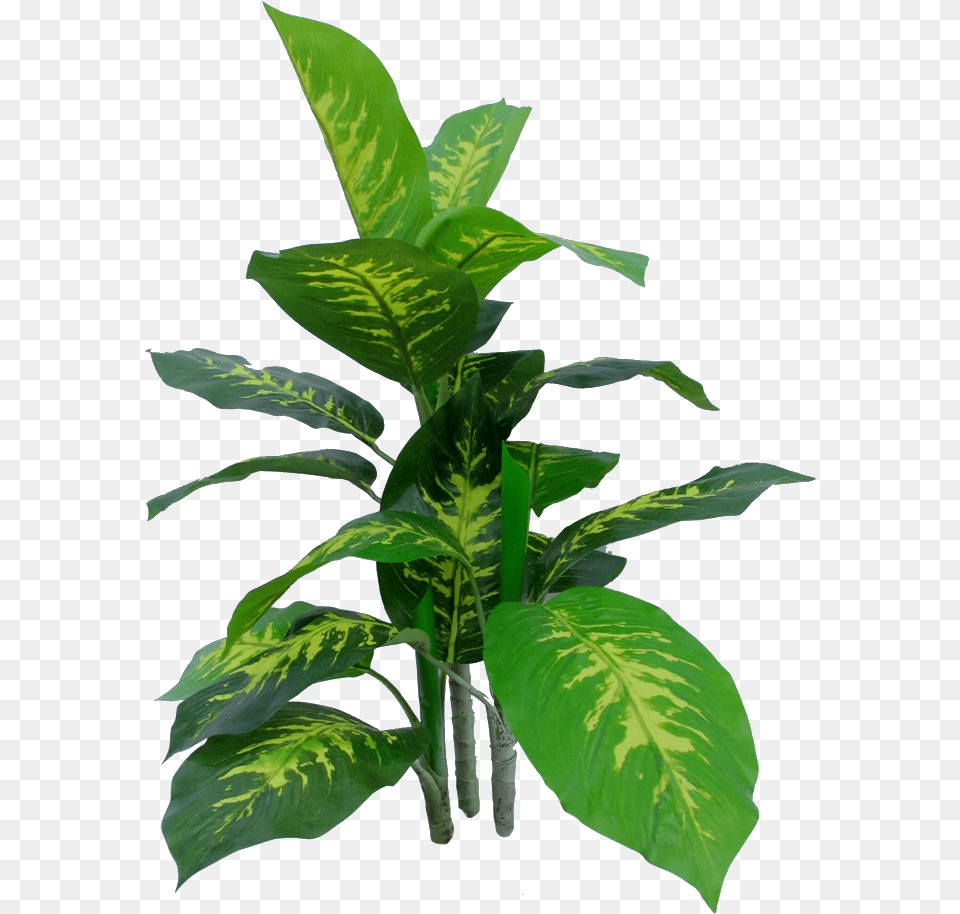 Plantas Artificiales Houseplant, Green, Leaf, Plant, Potted Plant Free Png Download