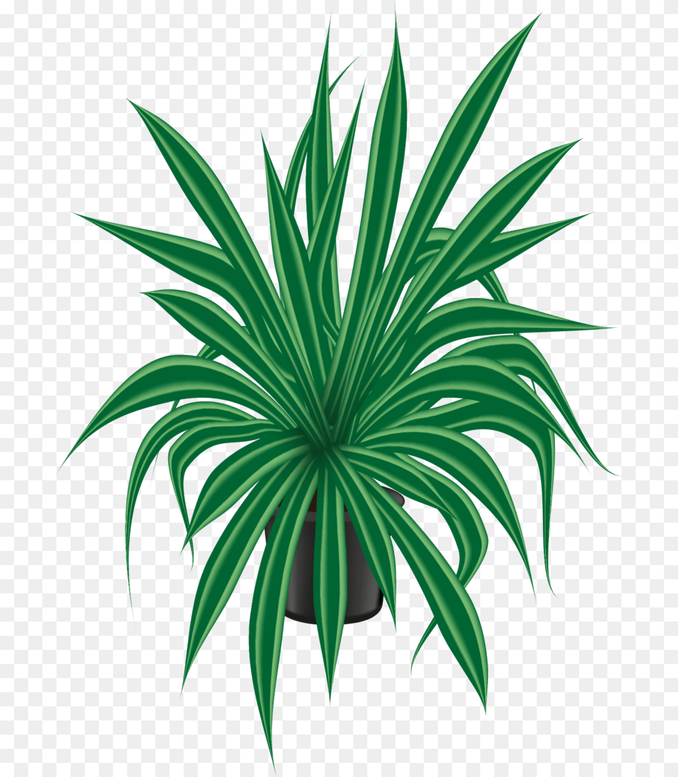 Plantas Clipart, Plant, Green, Potted Plant Png