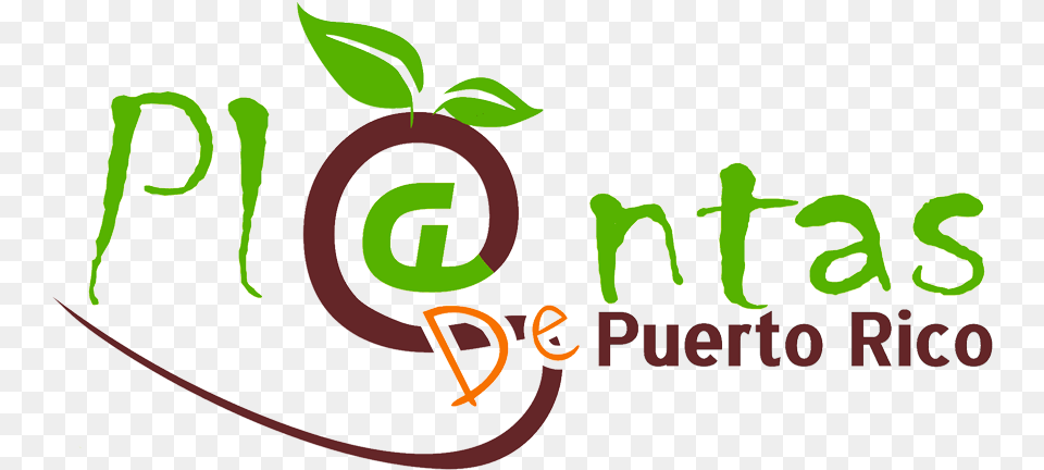 Plantas De Sol En Puerto Rico, Green, Herbal, Herbs, Plant Free Png