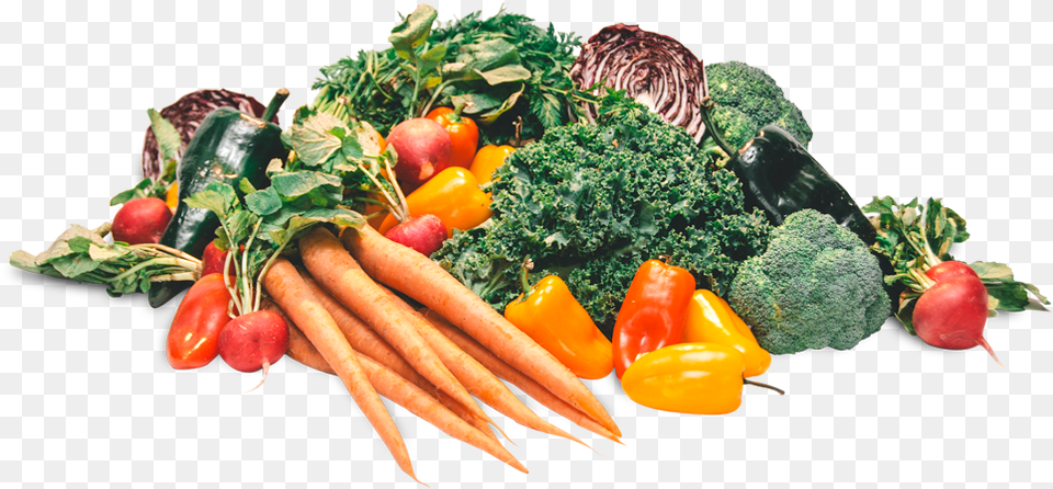 Plantbased Diet Broccoli, Food, Produce, Carrot, Plant Free Png