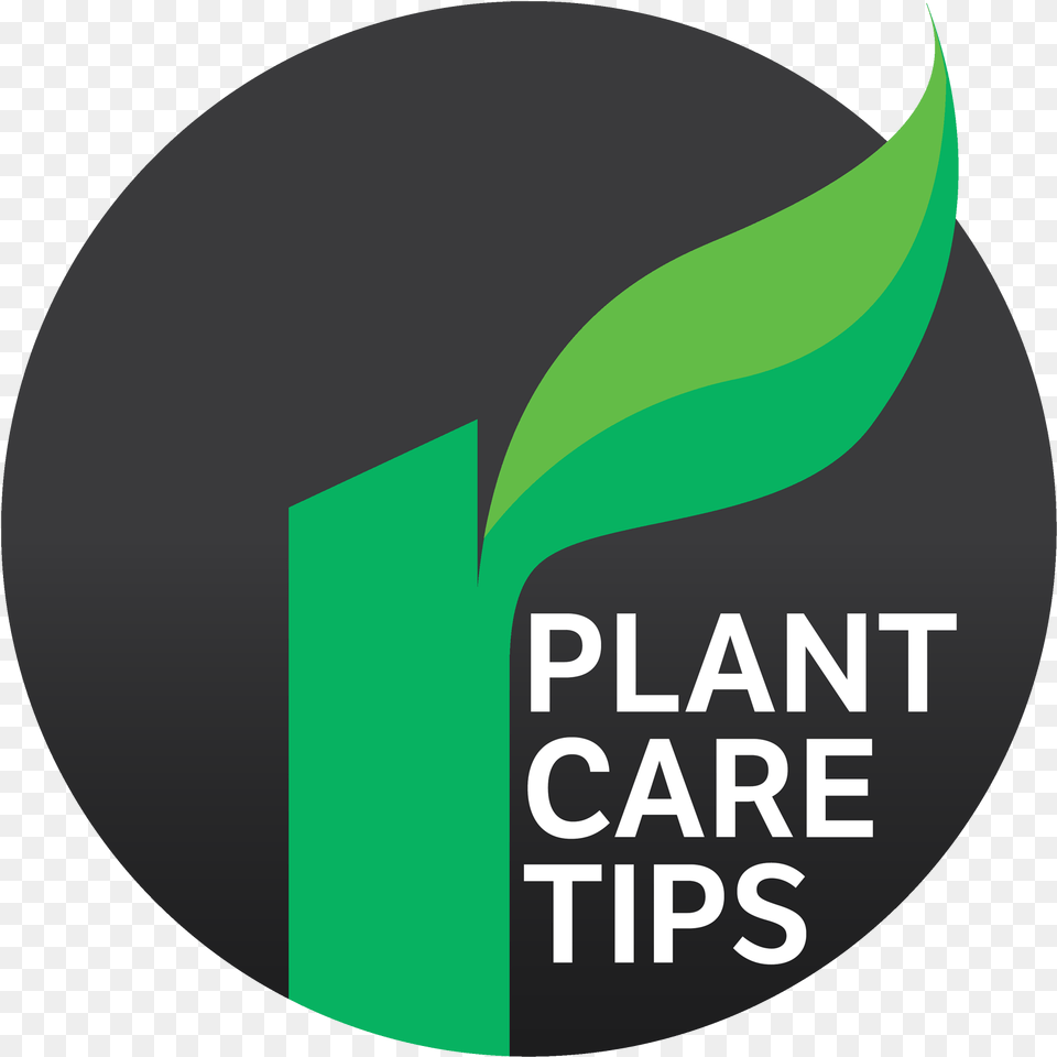 Plantcare Tip Icon Plant Based Diet, Logo, Disk Free Transparent Png