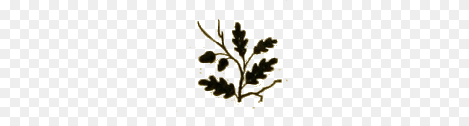 Plantenschat Paginadecoratie, Leaf, Plant, Oak, Tree Free Transparent Png