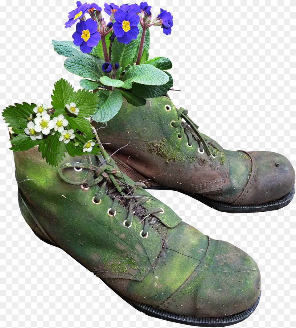Planter Flowers Old Boots Moss Old Boots, Flower, Flower Arrangement, Plant, Potted Plant Png Image