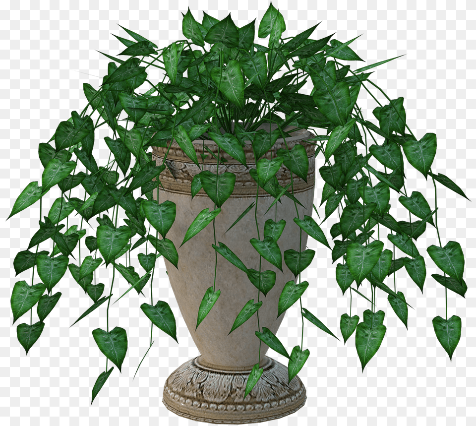 Planter Plant Leaves Houseplant, Leaf, Potted Plant, Ivy Free Png Download