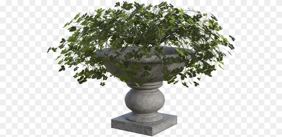 Planter Plants Green Image On Pixabay Tree, Jar, Plant, Potted Plant, Pottery Free Transparent Png