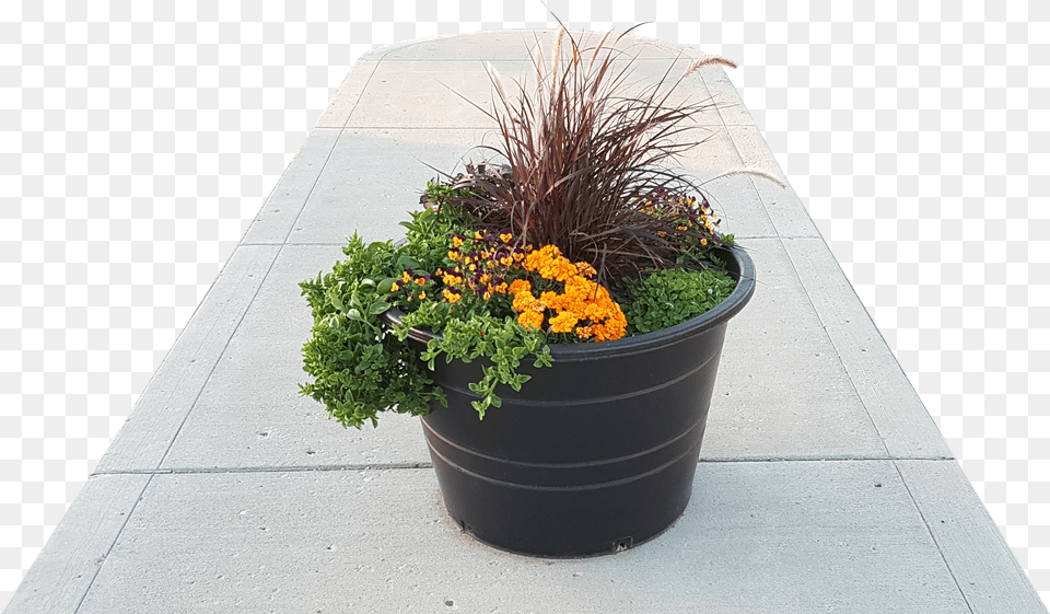 Planter Pots Are A Heavy Duty Commercial Quality Flowerpot, Lighting Free Png Download