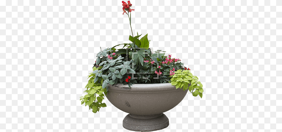 Planter With Overflowing Plantlife Immediate Entourage Flower Planter, Pottery, Potted Plant, Plant, Jar Free Png Download