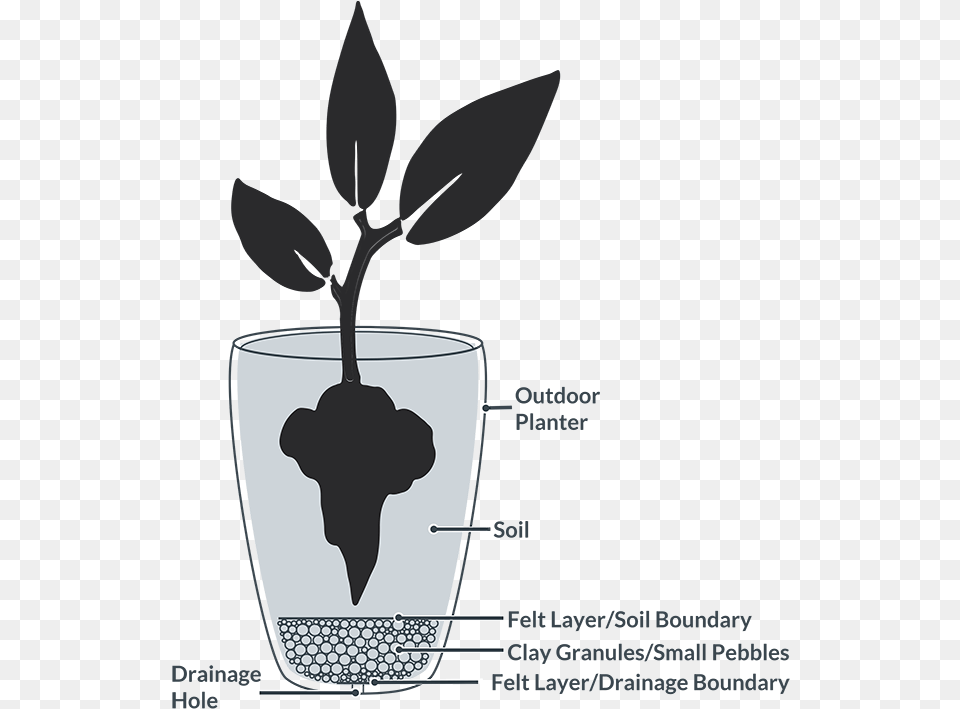 Planters With Drainage, Leaf, Plant, Flower, Petal Free Transparent Png