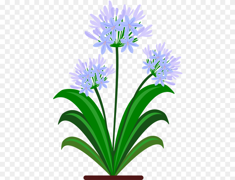 Plantfloraflowerpot Clipart Royalty Svg Flower Blue Pdf, Plant, Flower Arrangement, Agapanthus, Amaryllidaceae Free Png