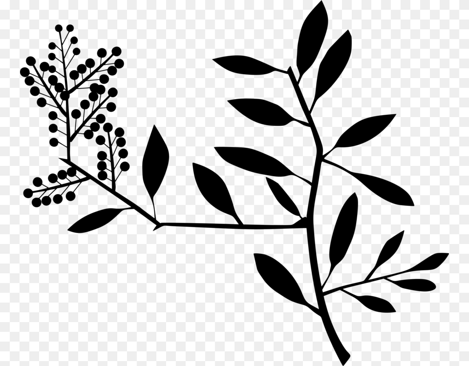 Plantfloraleaf Clip Art, Gray Free Png Download