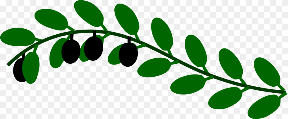 Plantfloraleaf Green Leaves Branch Clip Art, Herbal, Herbs, Leaf, Plant Free Transparent Png