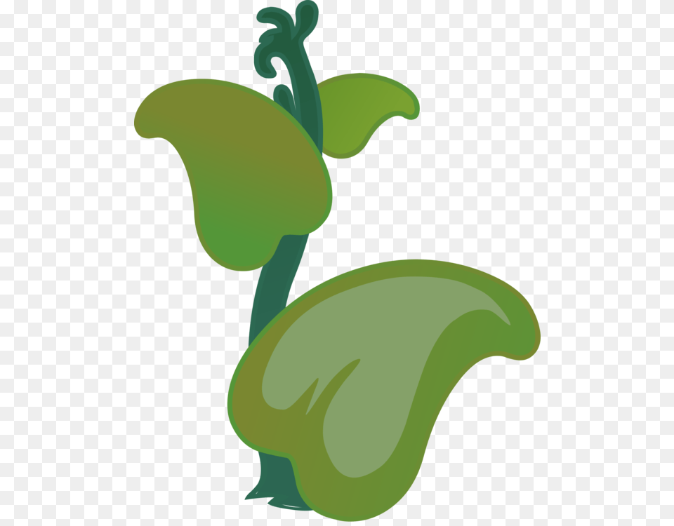 Plantfloraleaf Plants, Banana, Food, Fruit, Plant Free Png