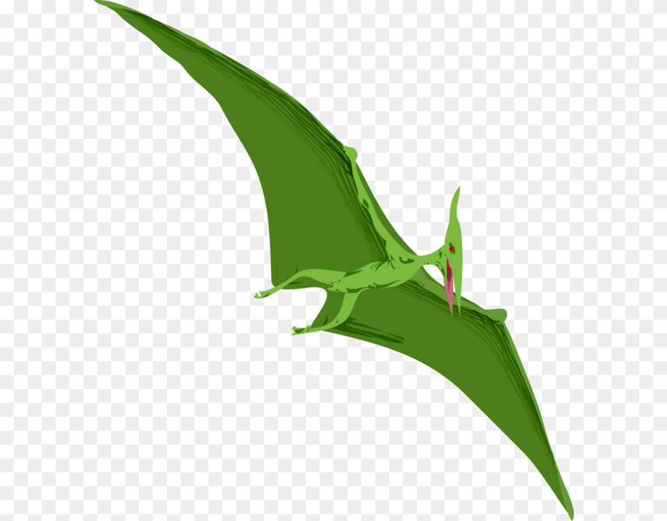 Plantfloraleaf Pterodactyl Dinosaur Clipart, Animal, Gecko, Lizard, Reptile Png Image