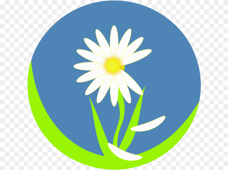 Plantflorasunflower World Teachers Day Background, Daisy, Flower, Plant, Astronomy Free Png