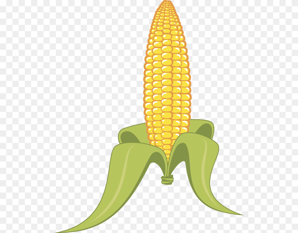 Plantflowercommodity Clipart Corn On The Cob, Food, Grain, Plant, Produce Png