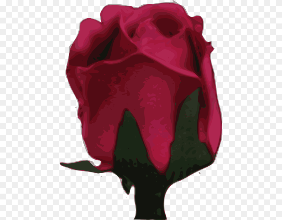 Plantflowergarden Roses Rose, Flower, Petal, Plant, Ammunition Free Png Download