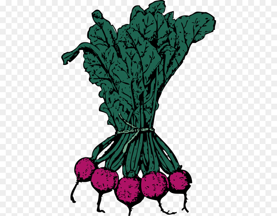 Plantflowerleaf Beets Clip Art, Food, Produce, Person, Plant Free Transparent Png