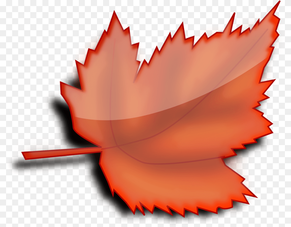 Plantflowerleaf Clipart Royalty Svg Clipart Autumn Maple Leaf, Plant, Tree, Maple Leaf Png