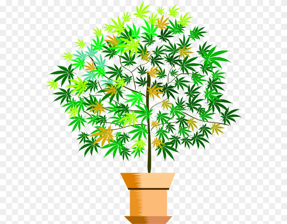 Plantflowerleaf Houseplant, Plant, Tree, Potted Plant, Leaf Png Image