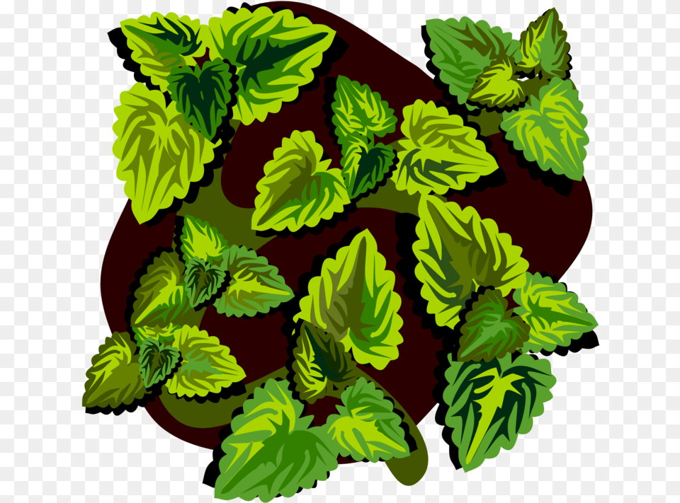 Plantflowerleaf Illustration, Green, Herbal, Herbs, Leaf Png Image