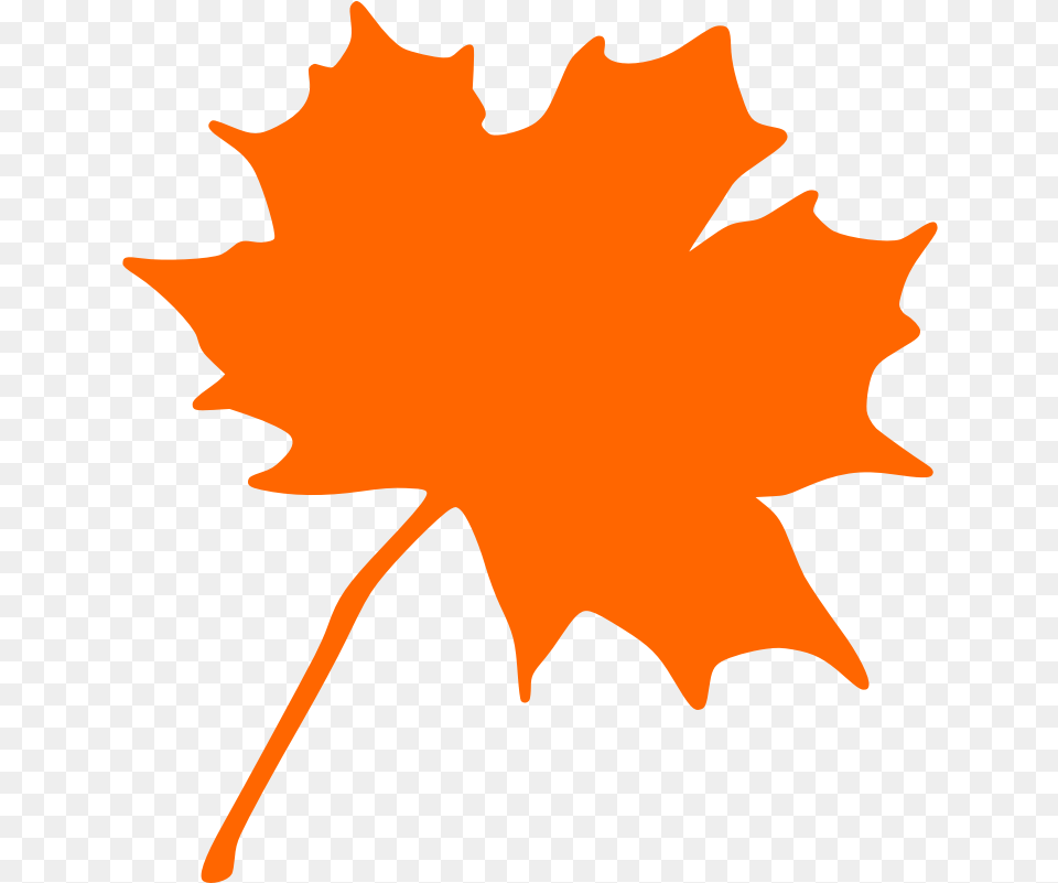 Plantflowerleaf Orange Fall Leaves Clip Art, Leaf, Maple Leaf, Plant, Tree Png Image