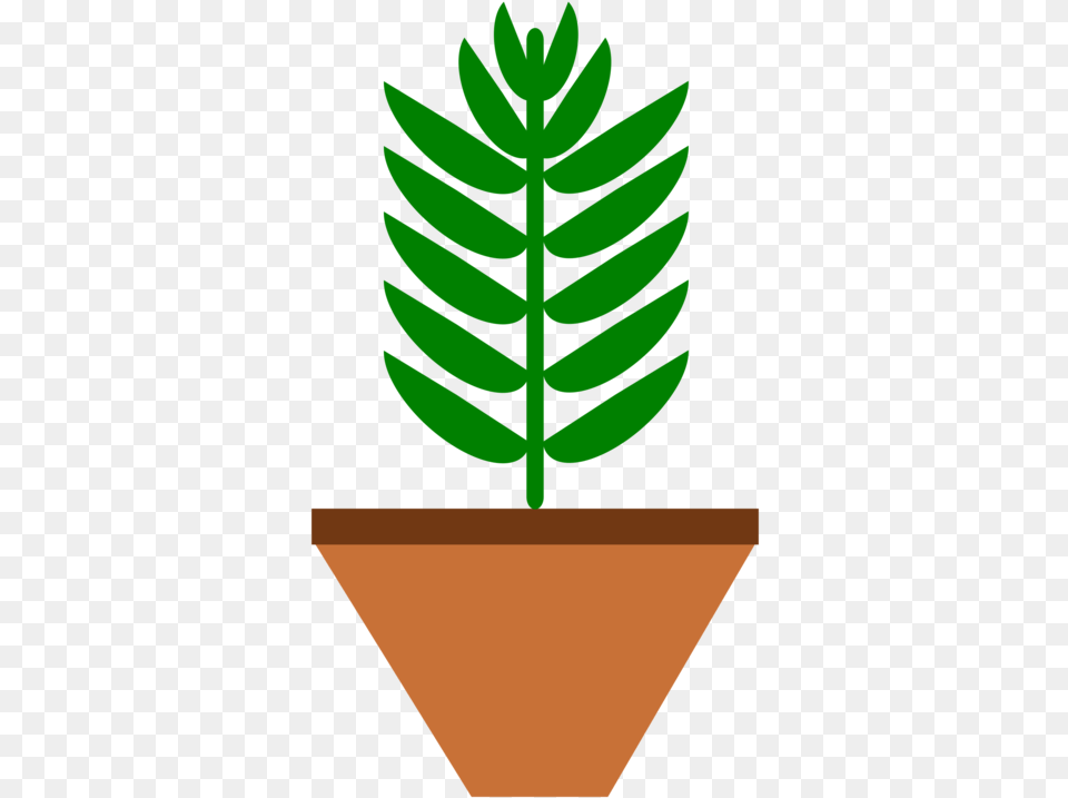 Plantflowerleaf Potted Plant Clip Art, Tree, Leaf, Potted Plant, Conifer Png Image