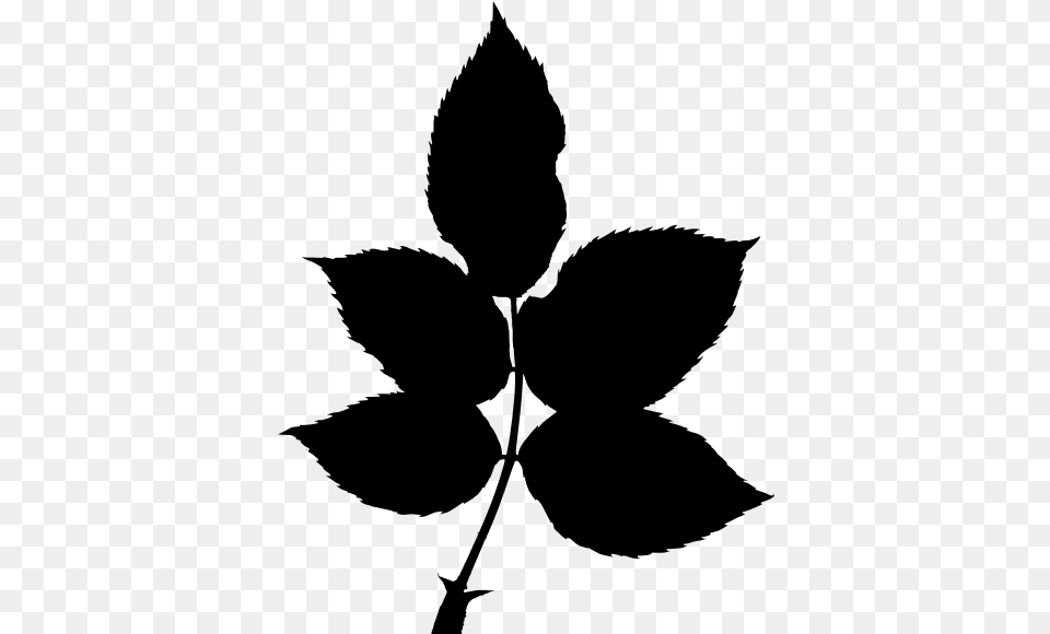 Plantflowerleaf Rose Leaf Silhouette, Gray Png