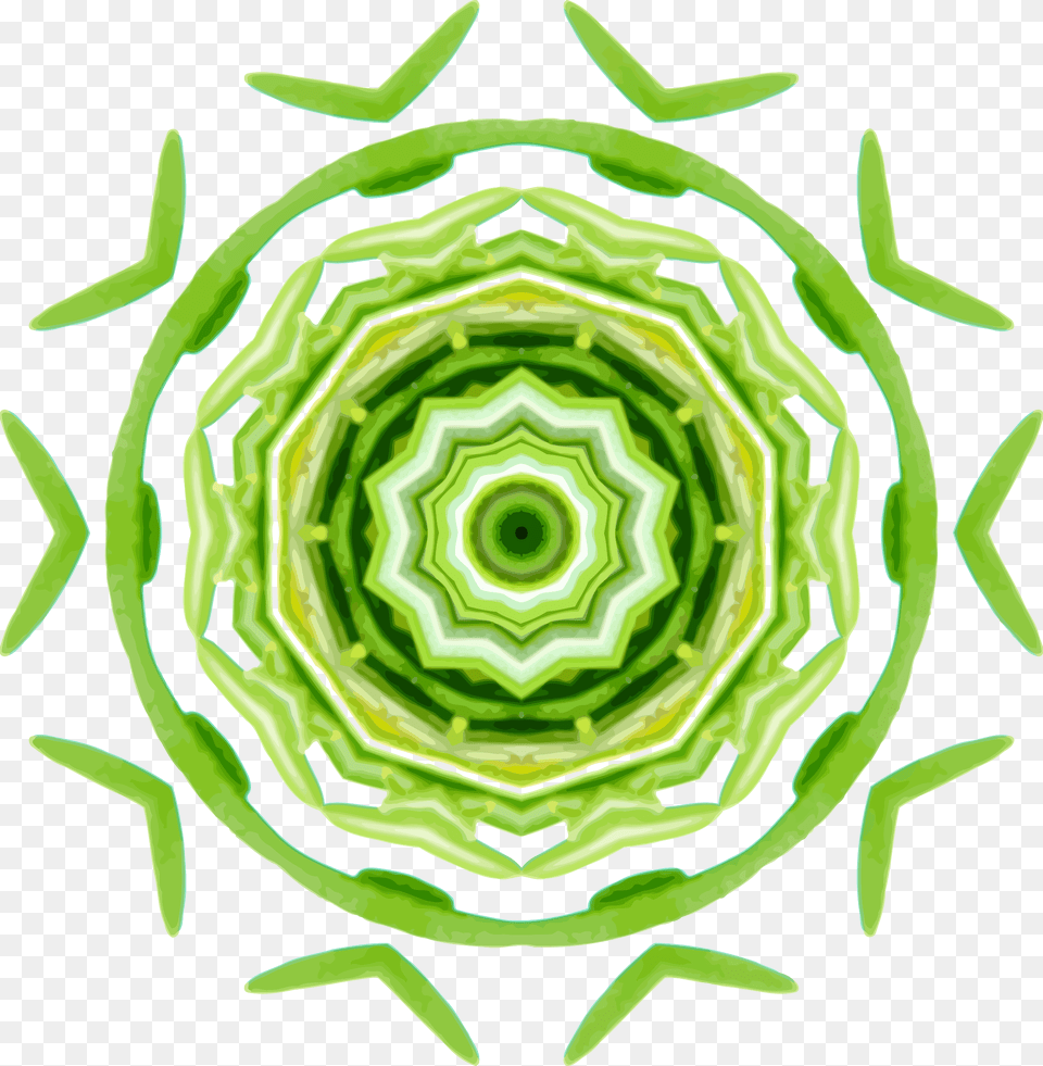 Plantflowersymmetry, Spiral, Pattern, Accessories, Green Png Image