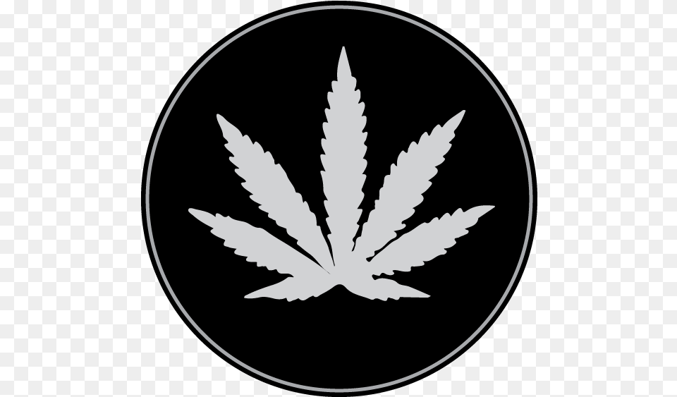 Plantillas Hoja De Marihuana White Weed Leaf Black Background, Plant, Stencil Free Png Download