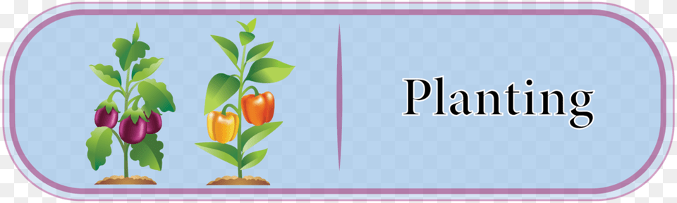 Planting Button Jpg, Plant, Herbs, Herbal, Food Free Png