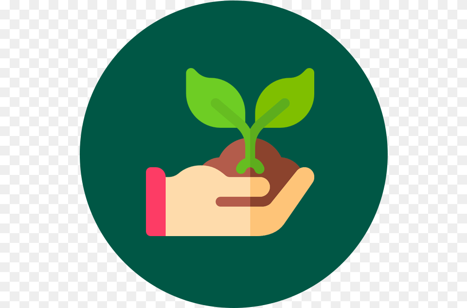 Planting Care Design Language, Herbal, Herbs, Leaf, Plant Png