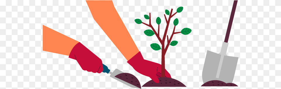 Planting Clipart Tree Plant A Tree Clipart, Cleaning, Person, Device Free Png Download