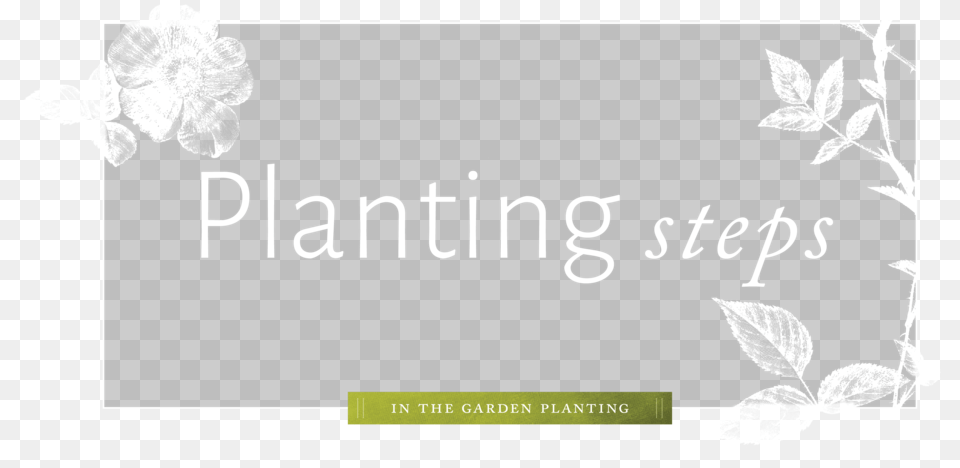 Planting Graphic Design, Leaf, Plant, Flower, Petal Free Transparent Png