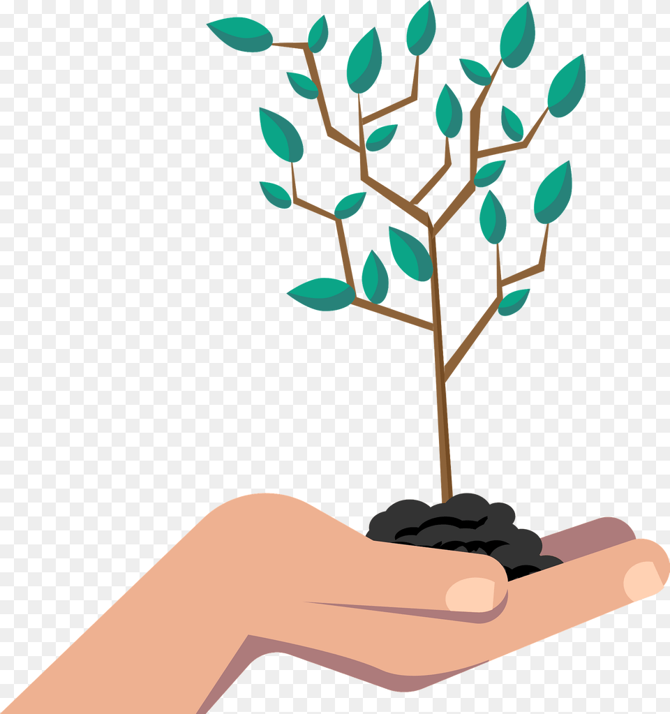 Planting Tree Clipart, Person, Potted Plant, Plant, Leaf Png