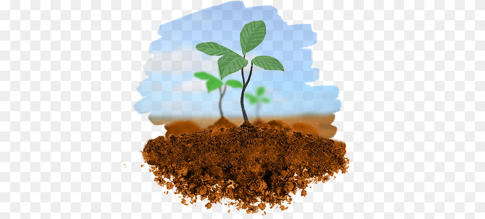 Planting Trees 4 Planting Trees Pics, Leaf, Plant, Soil, Sprout Png Image