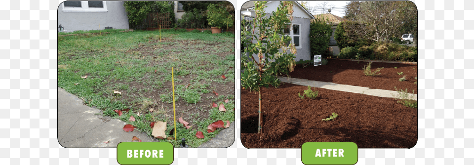 Planting Trees Before After, Backyard, Soil, Plant, Outdoors Free Transparent Png