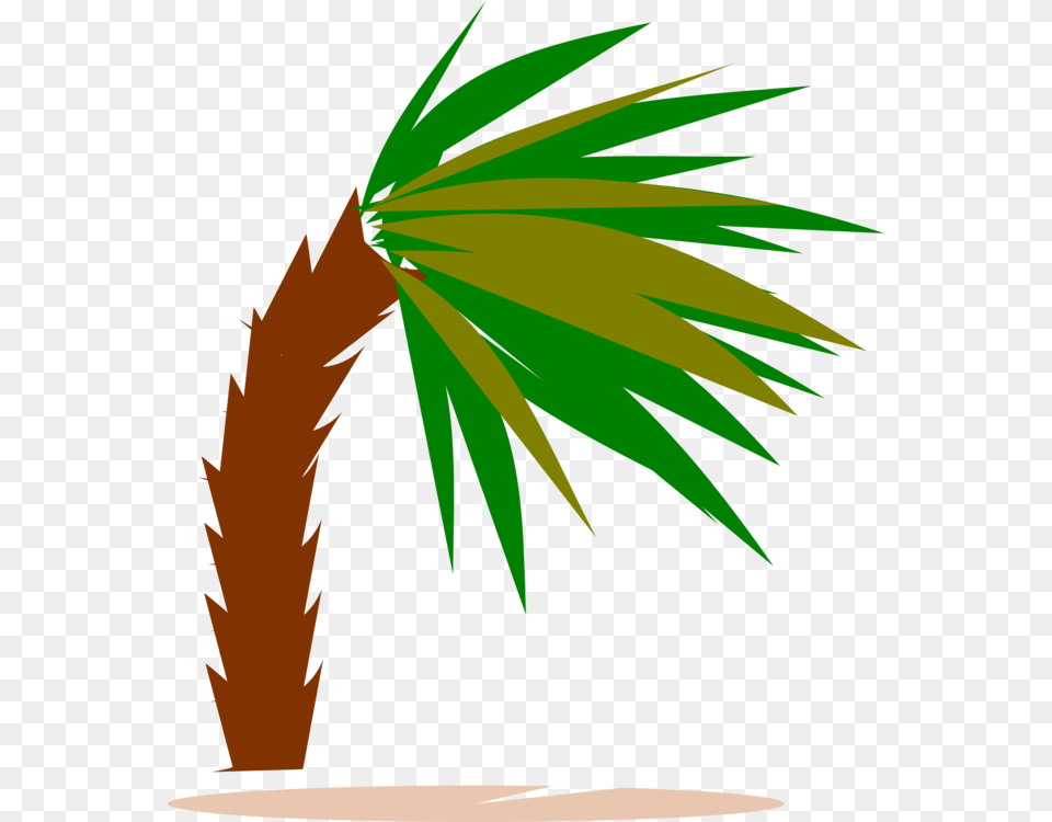 Plantleafarecales Palm Trees, Palm Tree, Plant, Tree, Leaf Png