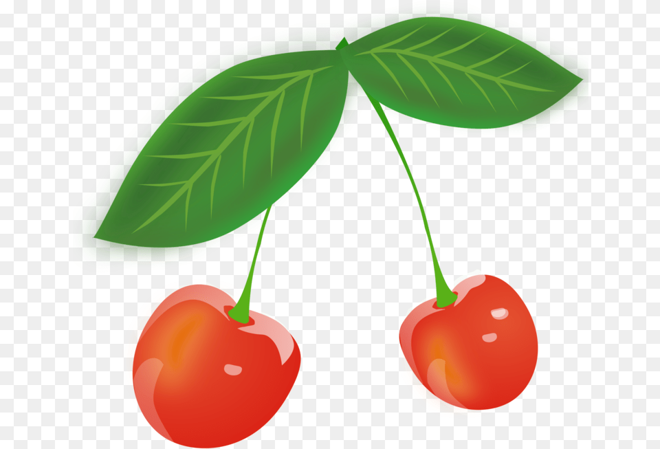 Plantleaffood Cherries Cartoon Transparent, Cherry, Food, Fruit, Plant Free Png
