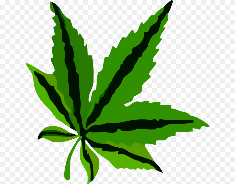 Plantleafhemp Family Leaf Pdf, Plant, Weed, Person, Hemp Png