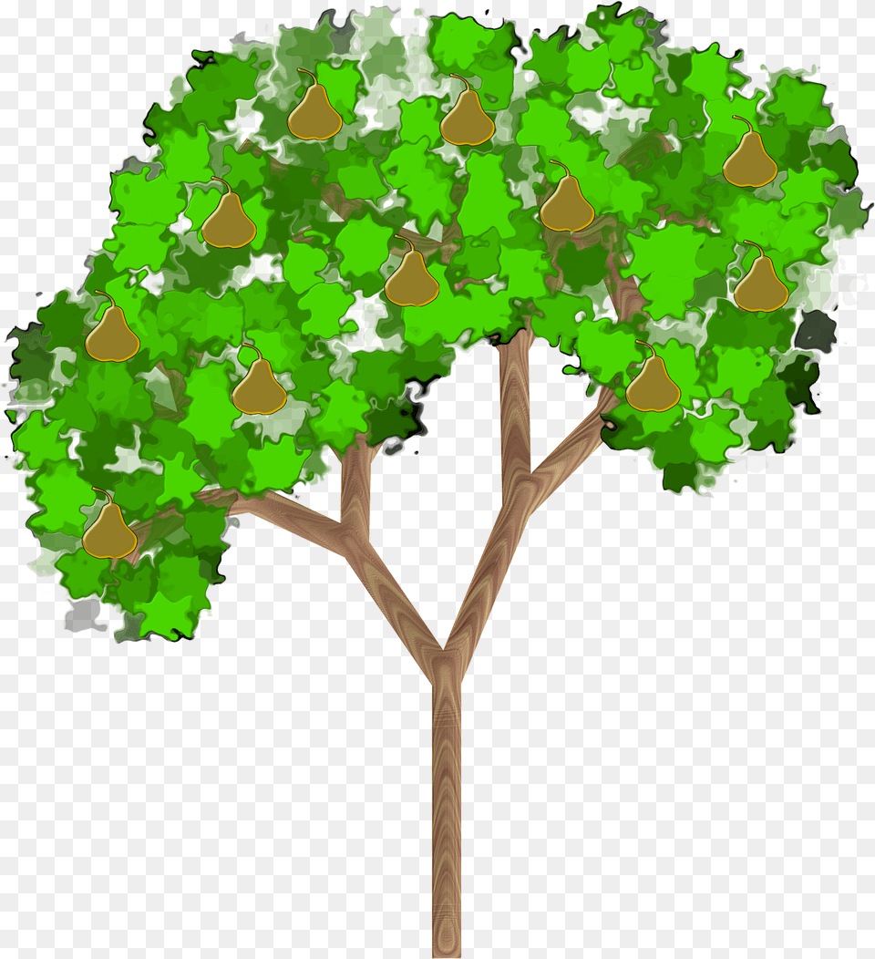 Plantleafshrub Pear Tree With Fruit Clip Art, Oak, Plant, Sycamore, Vegetation Png Image