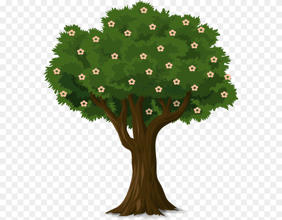 Plantleafshrub Tree With Flower Clipart, Plant, Vegetation, Sycamore, Oak Free Png Download