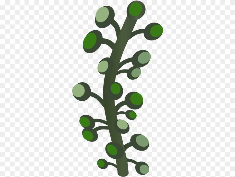 Plantleaftree, Green, Plant, Tree, Food Png Image