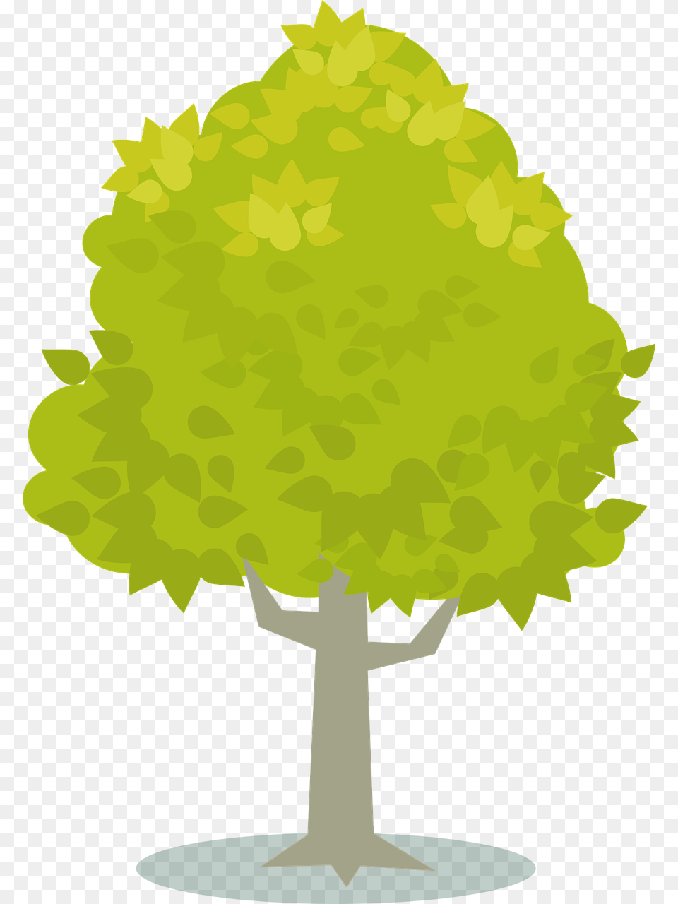 Plantleaftree, Plant, Tree, Vegetation, Maple Free Transparent Png